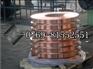 C51000高强度磷铜带 进口全硬磷铜带 C51000磷铜棒