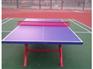 东城区建国门街道乒乓球台厂家在秋天，收获专属于你的球台