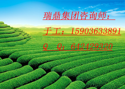苏州市文化产业园概念巩设计 做的标准