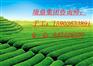 锦州市教学楼工程施工投标书技术部分好