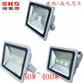 防水防尘防腐LED投光灯EKS8100A-50W
