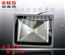 EKS8100A-50W防水防尘防腐投光灯 公园草坪投射灯