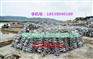 江门牡蛎片正品拉牡蛎生产养殖基地养殖设备