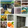 热泵烘干机设备、广东热泵烘干机、福瑞斯永淦老品牌