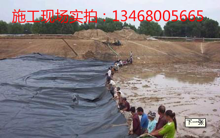 贵池养殖地膜厂家￥公司【热线】-|3406205311