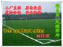 黑龙江牡丹江学校草坪厂家