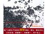 供应顺丰金属制品优惠的钢丸 钢丸图片