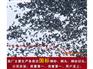 山东质量好的钢丸服务商：山东钢丸哪家好