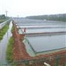 想买质量好的藕池土工膜就到鼎诺土工材料_藕池土工膜厂家