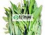 北京禽蛋粮油供应商|北京同城食材批发