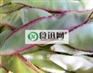 北京中央厨房食材o2o采购|北京用品用具供应商