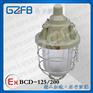 DCD-200大功率隔爆型防爆灯