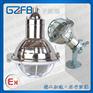 优质增安型防爆防腐灯60W