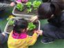 城市屋顶农场设计施工专业团队四川成都尚鼎丰贵宾式服务