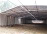 廊坊市年发天顺保温板厂提供的保温鸡舍大棚怎么样|保温鸡舍大棚