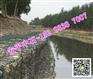 堤坡防洪铅丝笼 河道护脚铅丝石笼 水库防洪格宾石笼