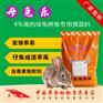 种母兔的饲养管理