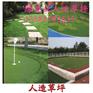 江西鹰潭幼儿园草坪厂家