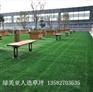 江苏常州学校草坪厂家