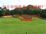 临湘运动场人造草坪厂家热卖