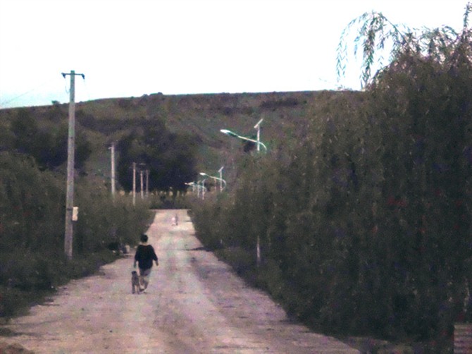 鄂州太阳能路灯厂家/太阳能路灯价格
