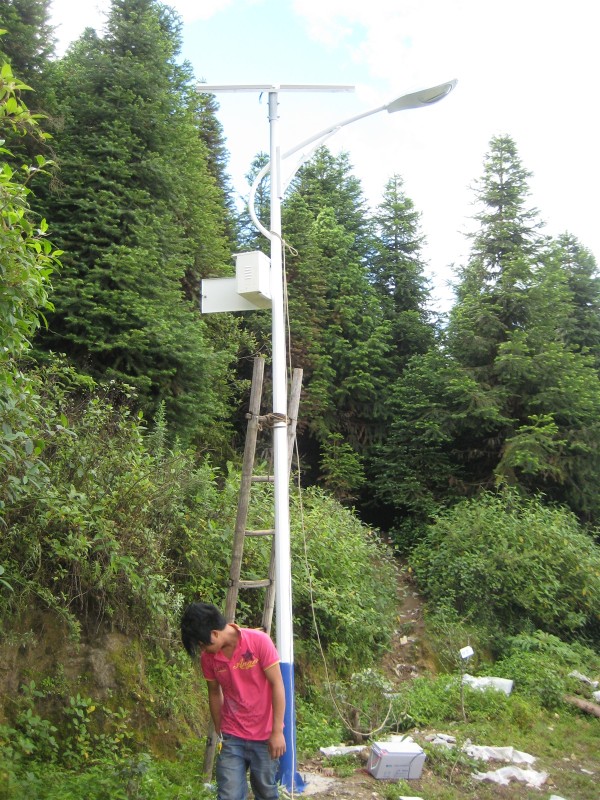 随州太阳能路灯厂家/太阳能路灯价格