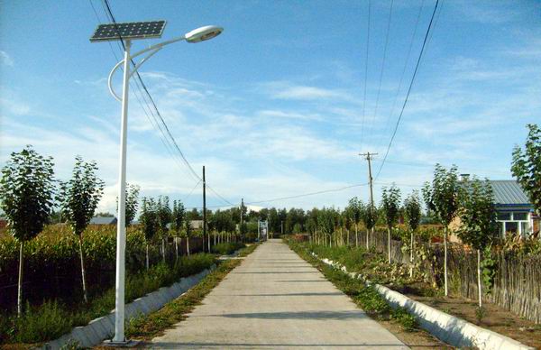 大庆太阳能路灯厂家/太阳能路灯价格