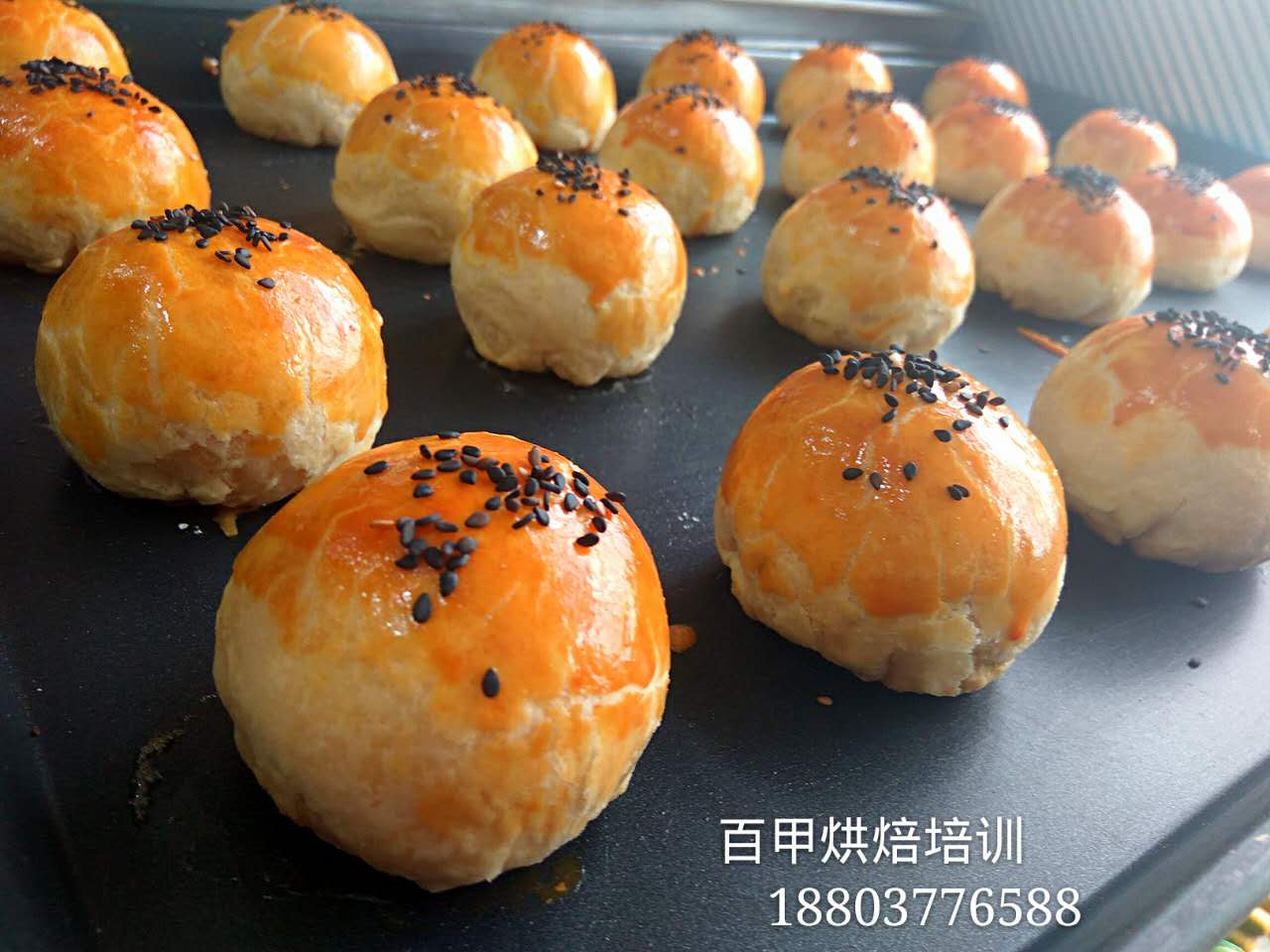 西点翻糖培训18803776588