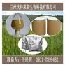 竹笋粉   兰州沃特莱斯生物科技长期供应