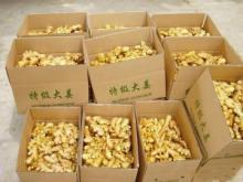 紙箱-大姜紙箱-青島紙箱廠定做大姜紙箱