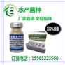 使用水产em菌调水一周时间可以调好么水主要发绿