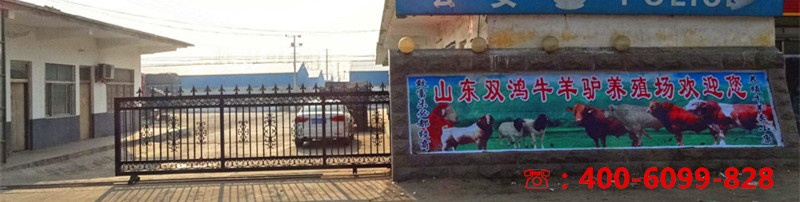 嘉祥县双鸿养殖场