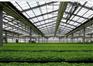 评价：【熙运建筑】山东温室大棚 山东温室大棚哪里好