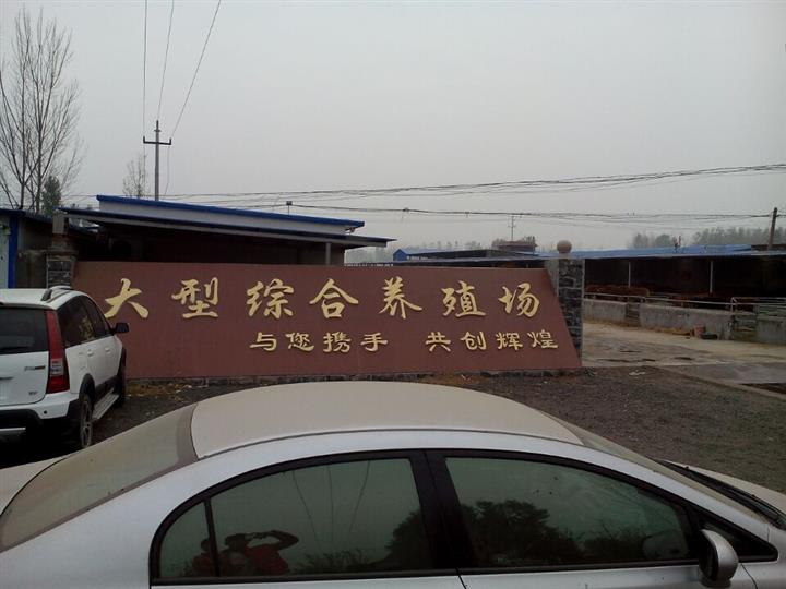 山东万加牛羊良种合作社