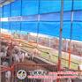 抗寒防风雨泉州养殖场卷帘帆布加工