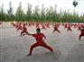 保定武术学院：少林武校武术培训值得托付