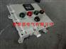 EXdIIBT6防爆操作箱BEC56-A2D2K1B1G