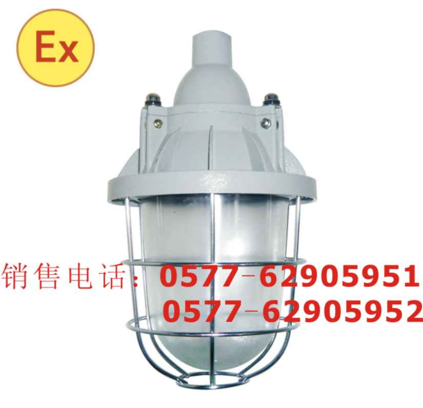 「EBM5002」led防爆工作灯<荆门EBM5002>