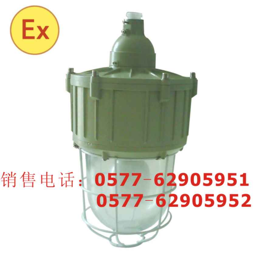「EPM8302」LED防爆标志灯<宿州EPM8302>