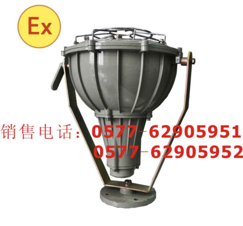 电磁感应灯「NFE014」<保山NFE014>