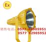 「EBM6111 」三防泛光灯<亳州EBM6111 >