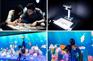 虚拟水族馆