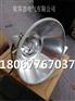 NTC9210防震投光灯IP65 WF2