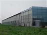 北京智能温室工程建设——淄博智能温室专业建设