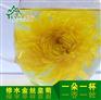 九江哪里有供应精装2016皇菊预售：皇菊批发专卖店
