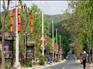 供应兰州地区优质农家乐景观灯，山南农家乐景观灯供应商