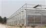 【我要上头条】文洛型温室建造 文洛型温室设计 文洛型温室建设
