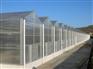 新疆新型温室大棚