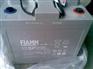 12SP26/12V26AH非凡蓄电池FIAMM集团大量现货