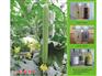 【丝瓜蘸花药】【批发丝瓜蘸花药】【丝瓜蘸花药销售】【丝瓜蘸花